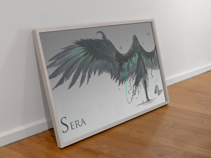 Sera